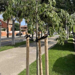 Correa de Tutorar para árboles